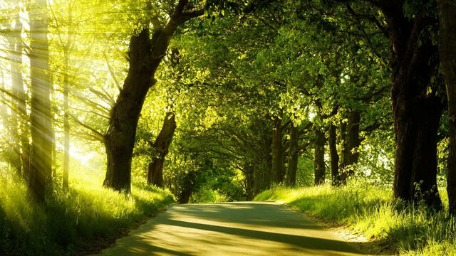 Nature
